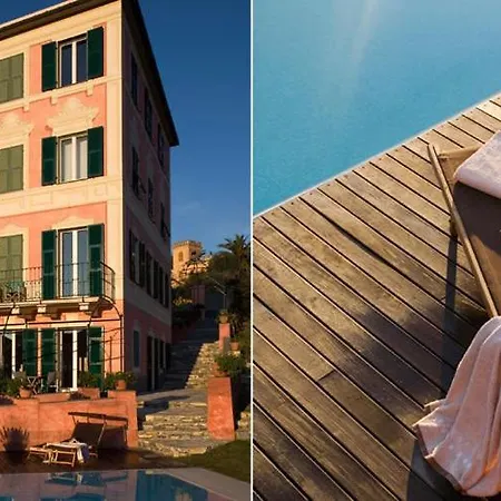 Rosmarino カモーリ